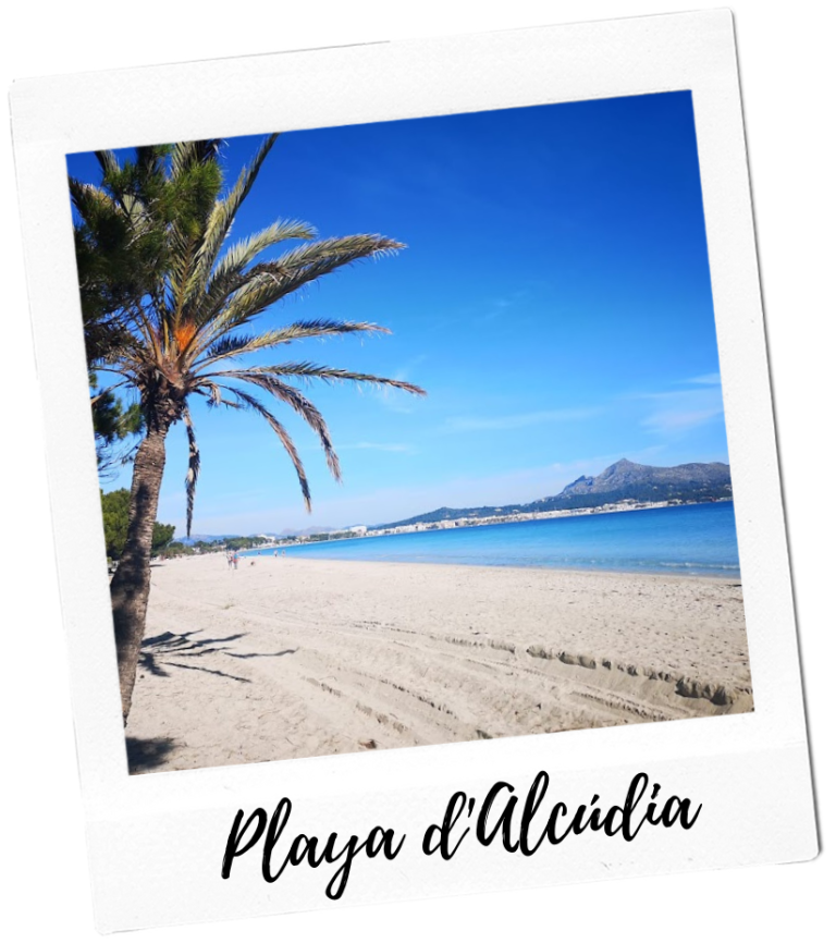 Playa d'Alcúdia Strand Mallorca schönste Orte alcudia